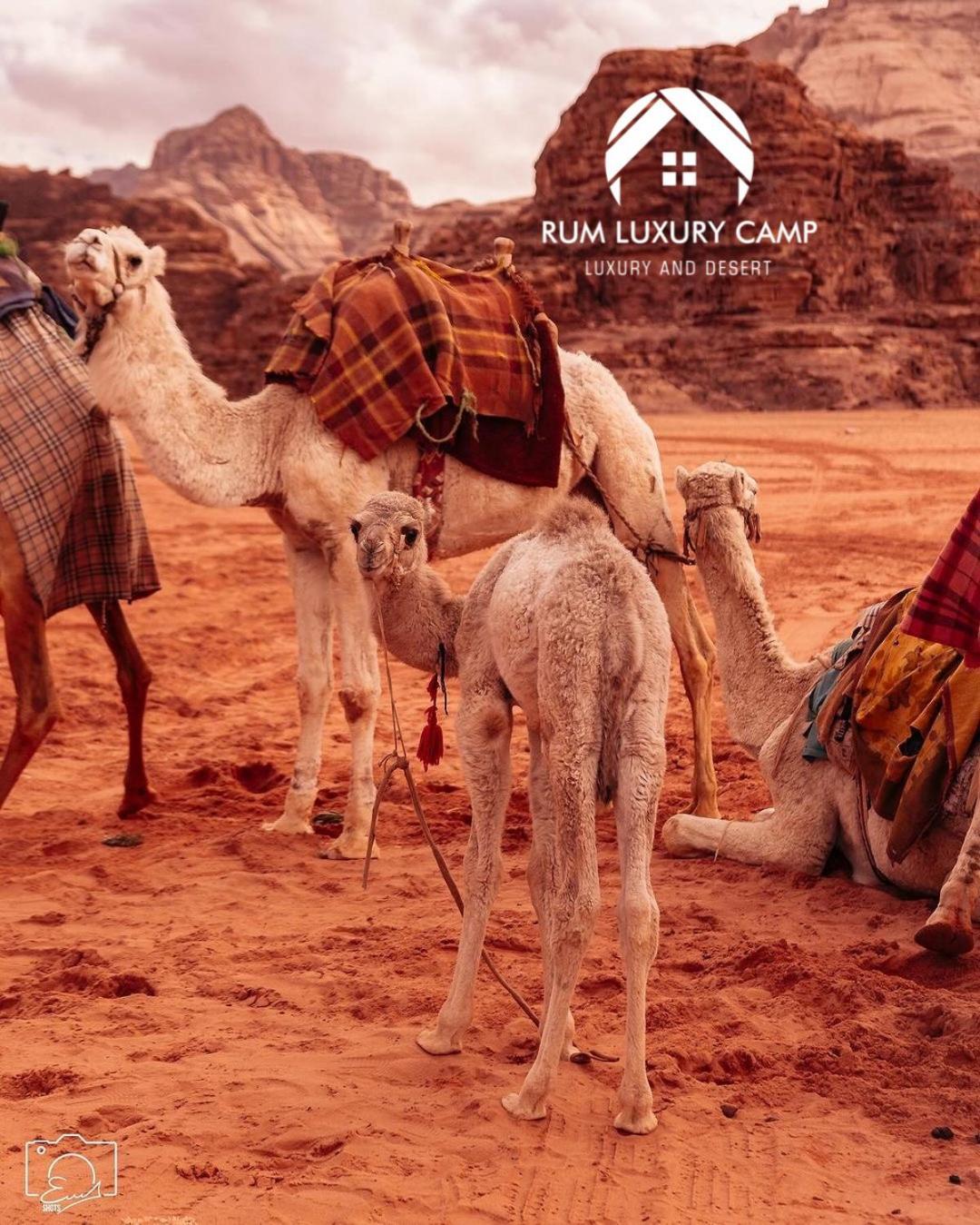 Rum Luxury Camp Wadi Rum Exterior photo