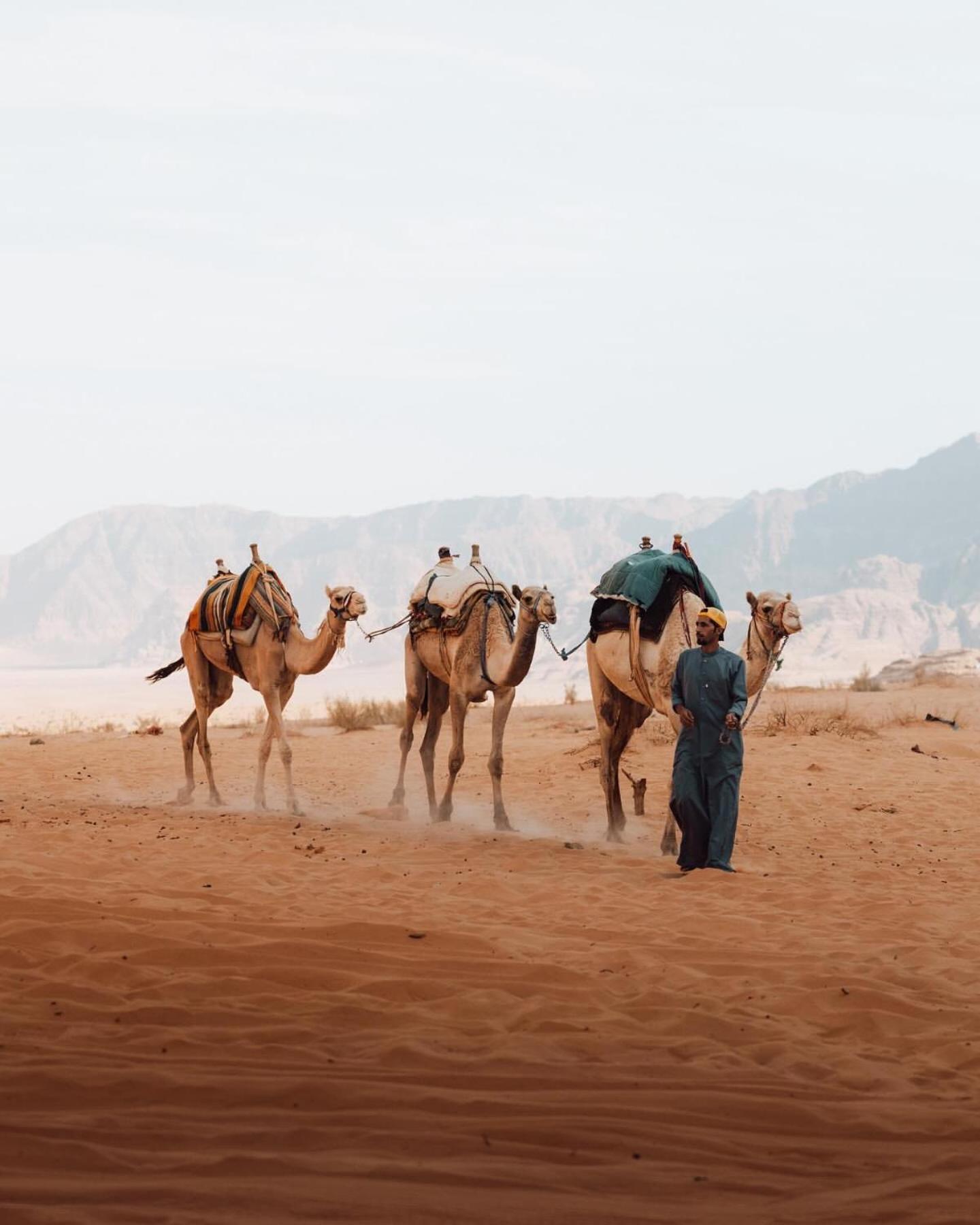Rum Luxury Camp Wadi Rum Exterior photo